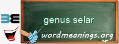 WordMeaning blackboard for genus selar